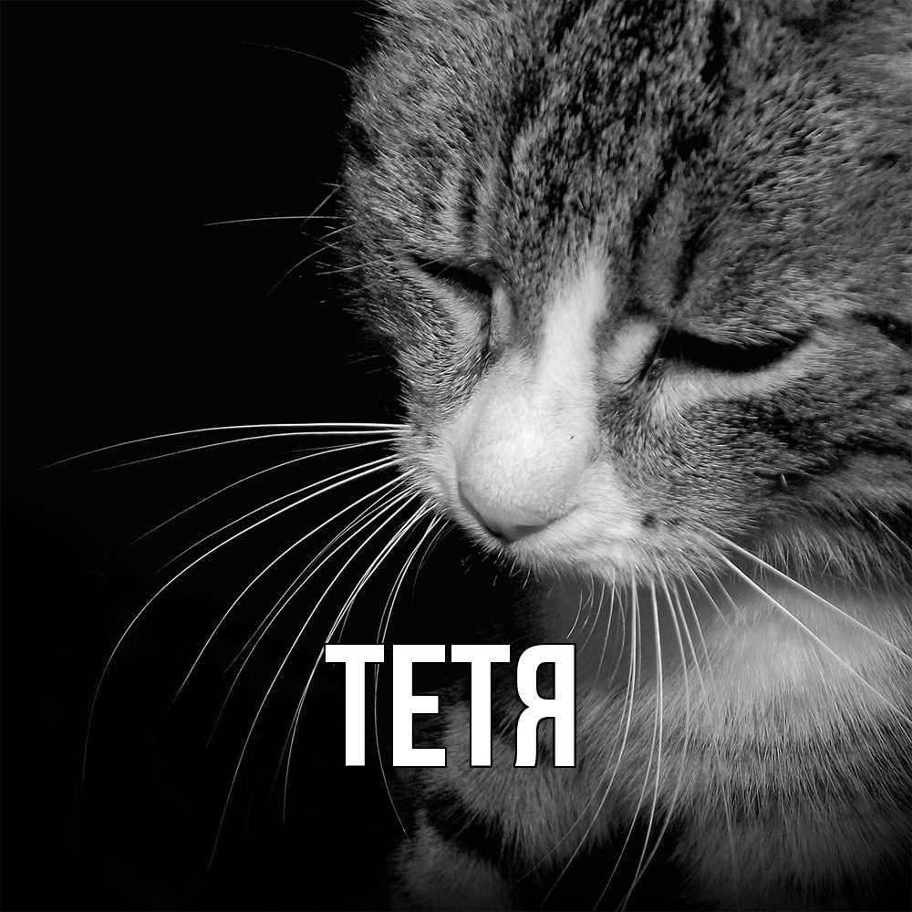 Открытка  с именем. Тетя, Главная  