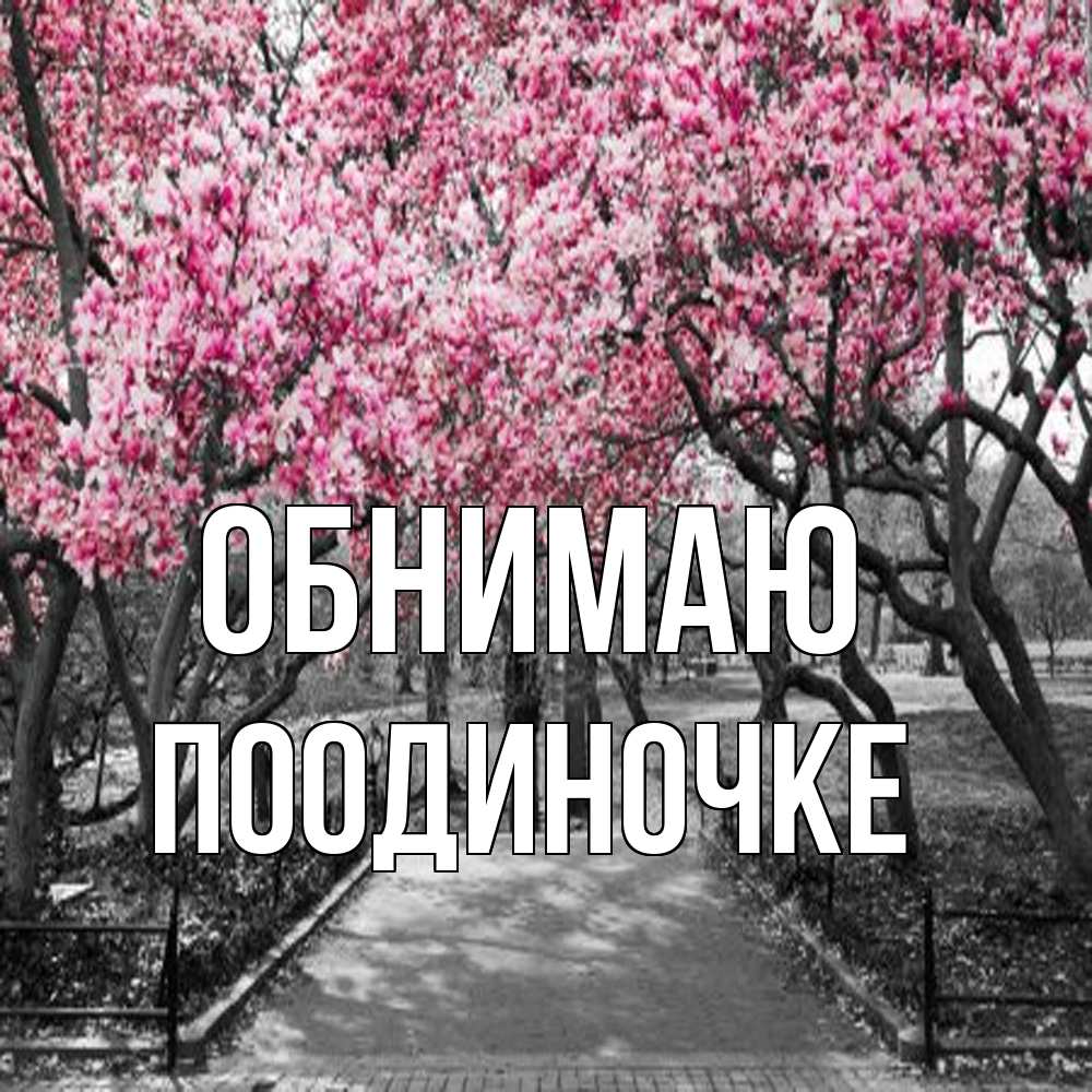 Открытка  с именем. Поодиночке, Обнимаю  