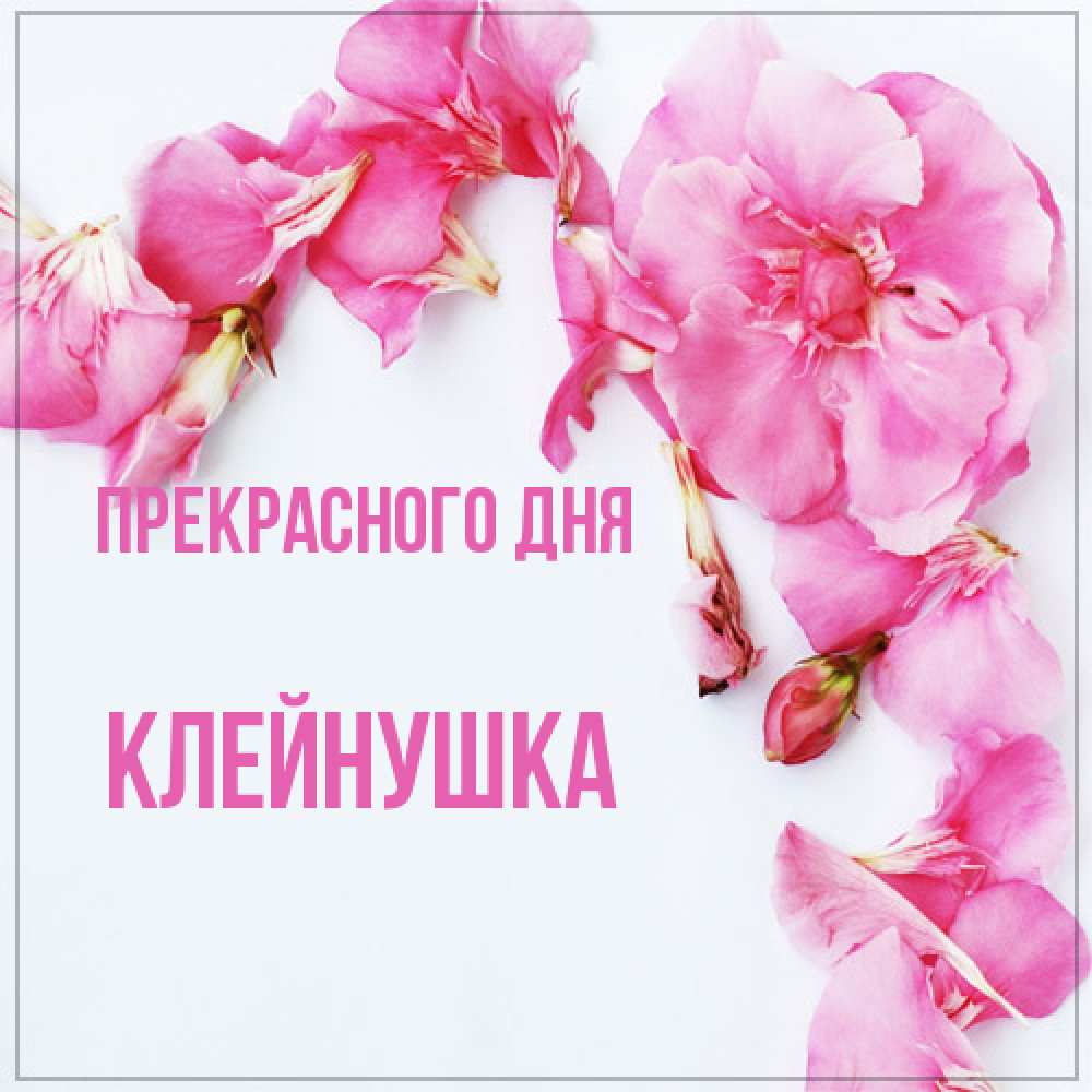 Открытка  с именем. Клейнушка, Прекрасного дня  