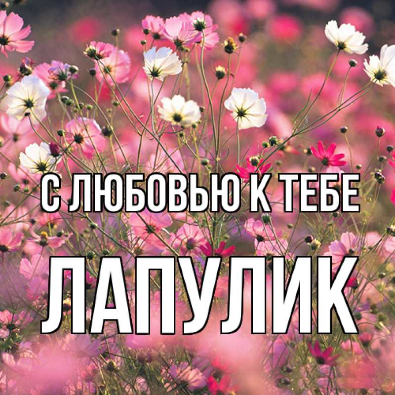 Картинка С любовью к тебе, Лапулик