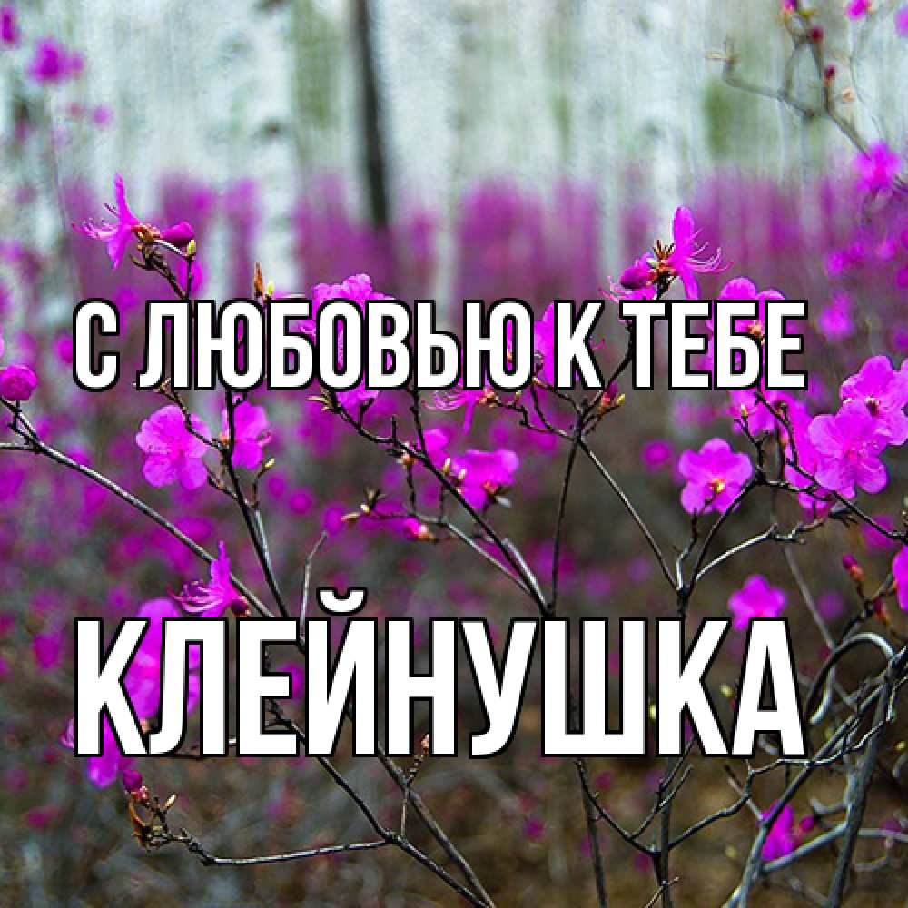 Открытка  с именем. Клейнушка, С любовью к тебе  