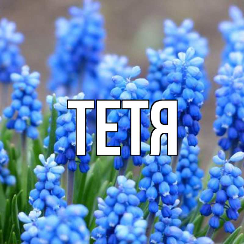 Картинка  с именем , Тетя