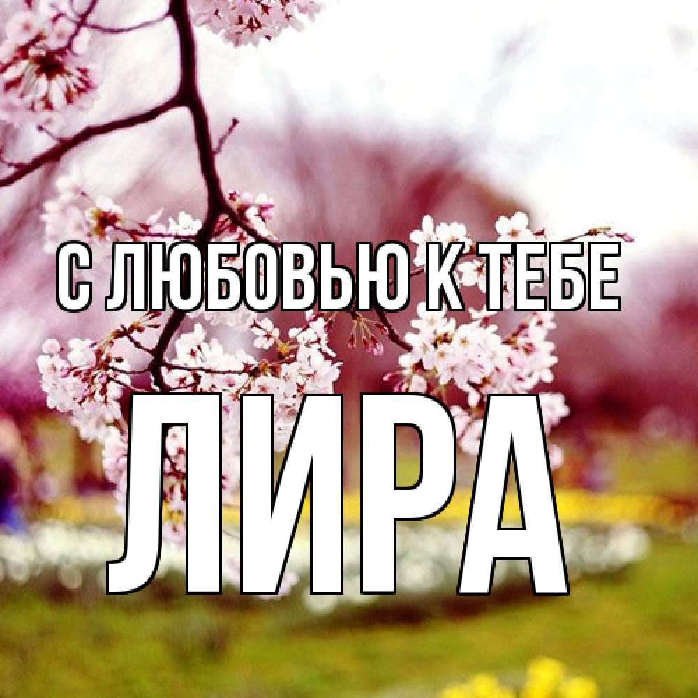 Открытка  с именем. Лира, С любовью к тебе  