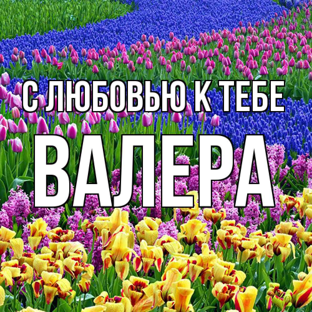 Открытка  с именем. Валера, С любовью к тебе  