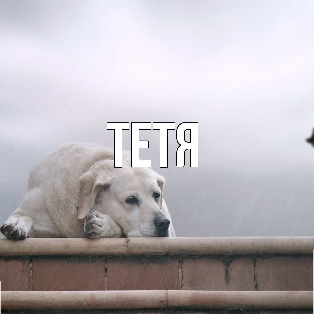 Открытка  с именем. Тетя, Главная  