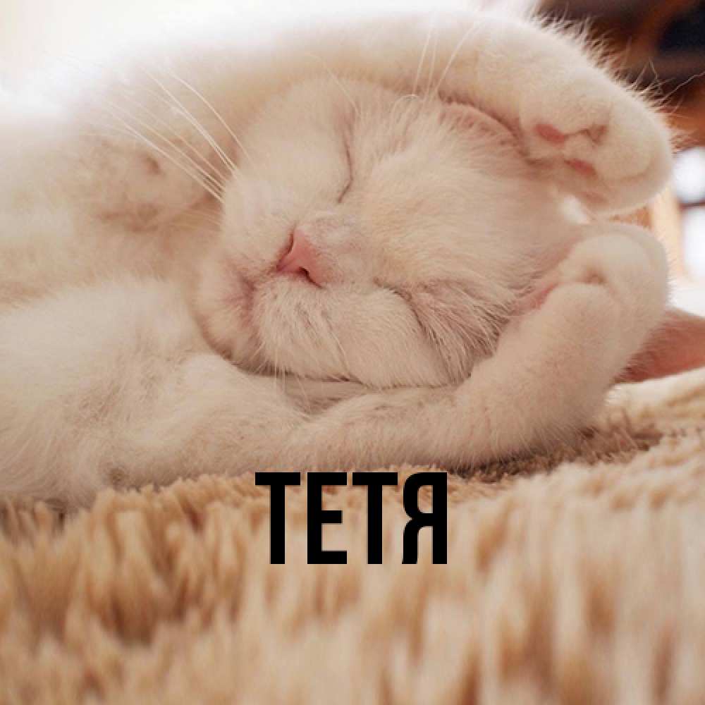 Открытка  с именем. Тетя, Главная  
