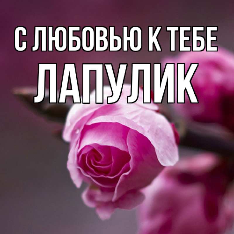 Картинка С любовью к тебе, Лапулик