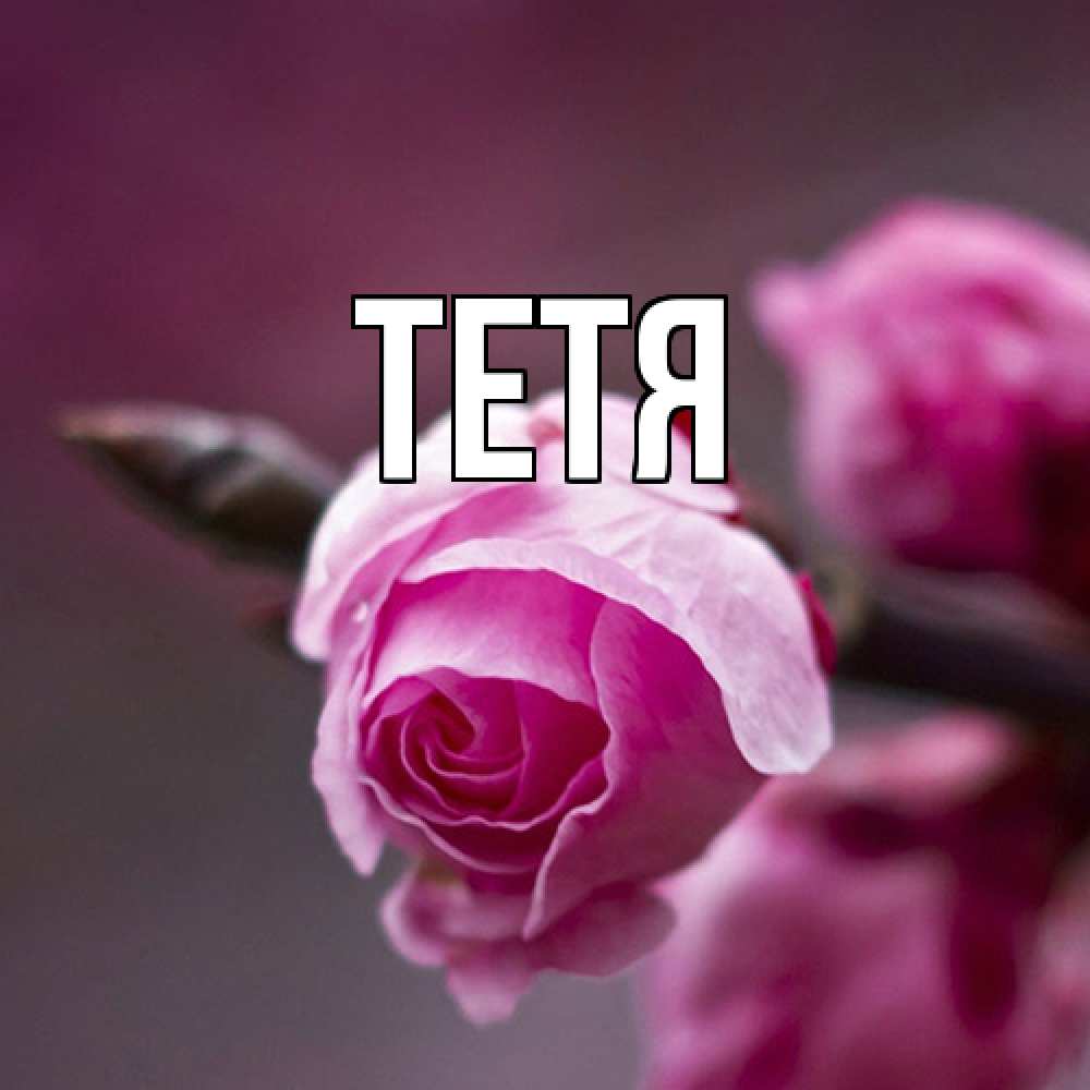 Открытка  с именем. Тетя, Главная  