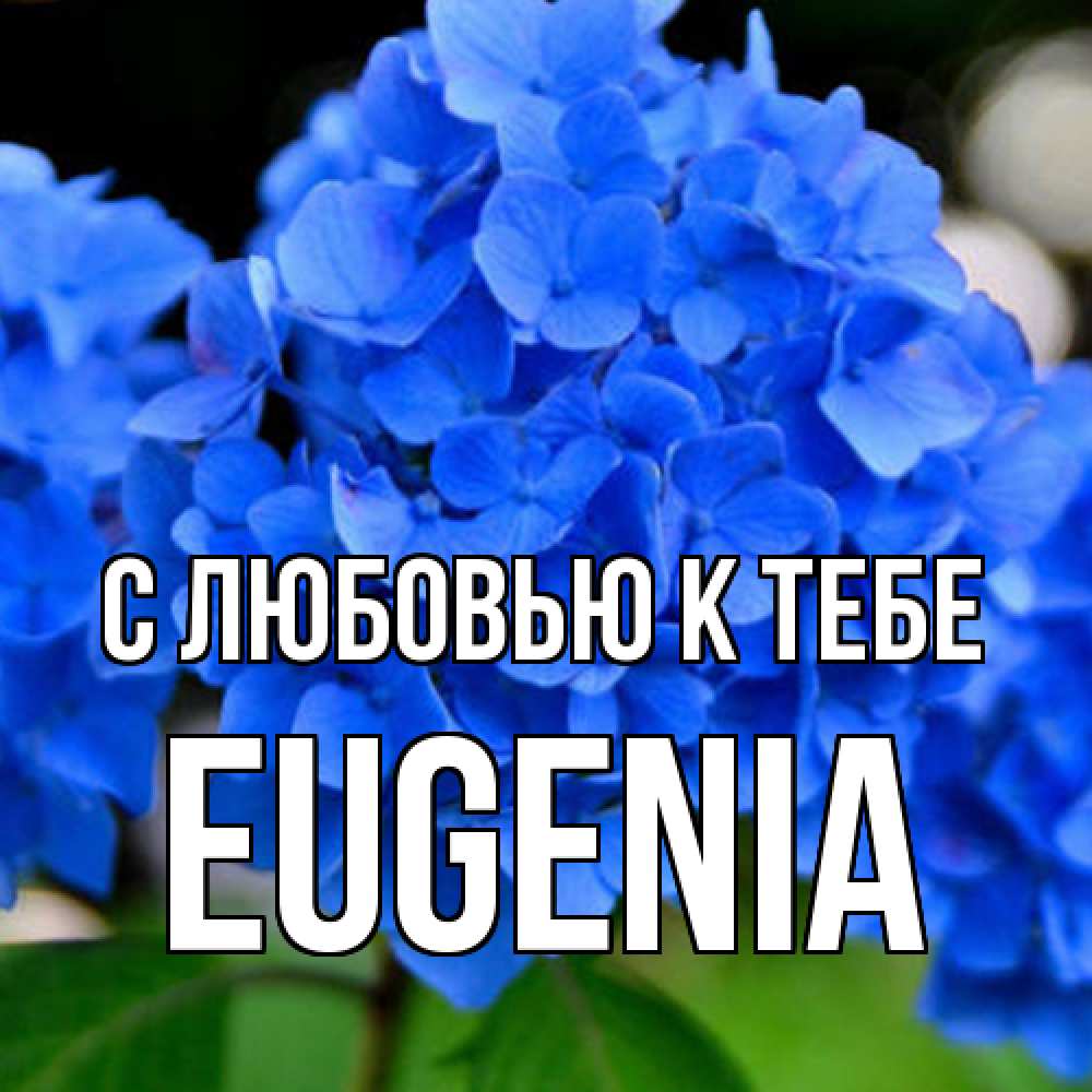 Открытка  с именем. eugenia, С любовью к тебе  