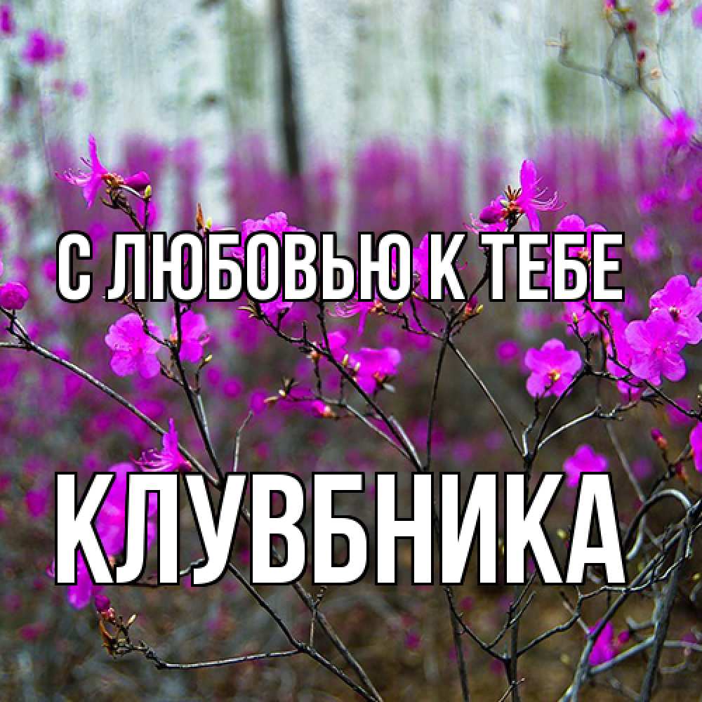 Открытка  с именем. Клувбника, С любовью к тебе  