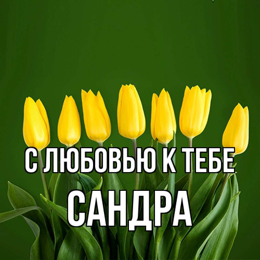 Открытка  с именем. Сандра, С любовью к тебе  