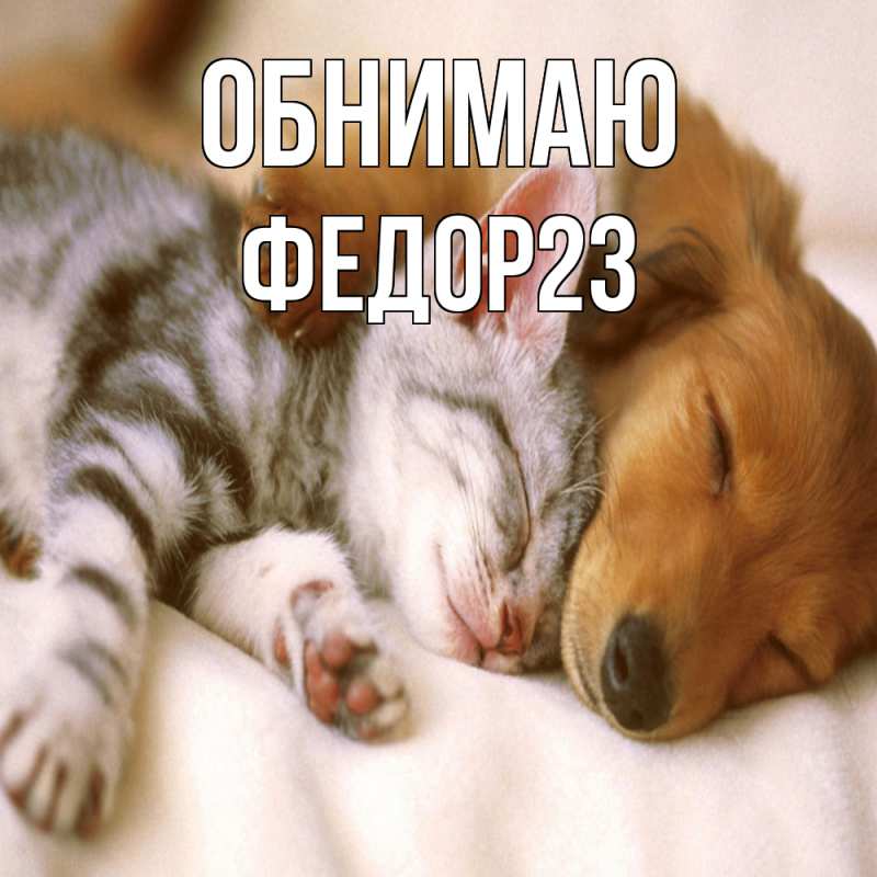 Картинка Обнимаю, Федор23