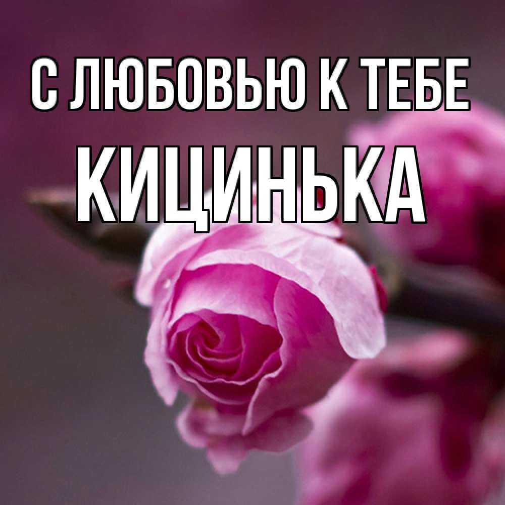 Открытка  с именем. Кицинька, С любовью к тебе  