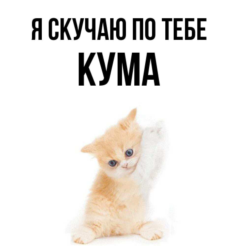 Открытка  с именем. Кума, Я скучаю по тебе  