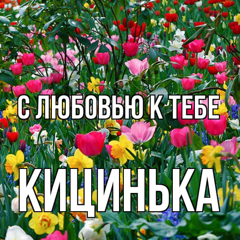 Открытка  с именем. Кицинька, С любовью к тебе  