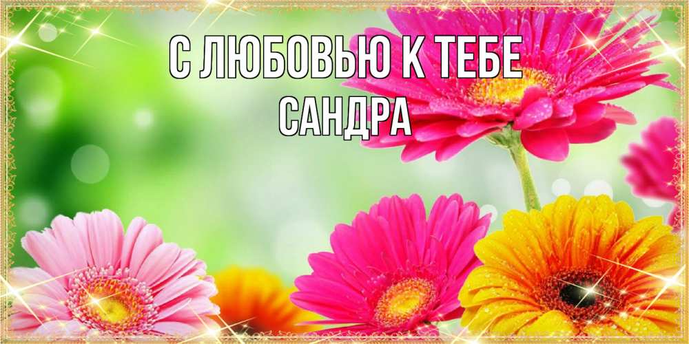 Открытка  с именем. Сандра, С любовью к тебе  