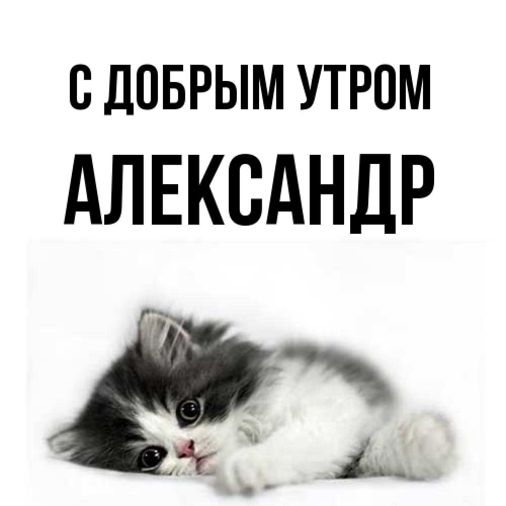 Открытка  с именем. александр, С добрым утром  