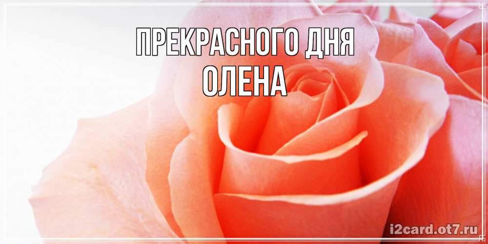 Открытка  с именем. Олена, Прекрасного дня  