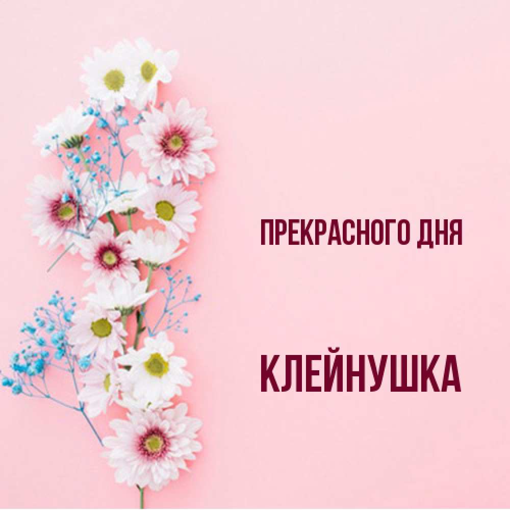 Открытка  с именем. Клейнушка, Прекрасного дня  