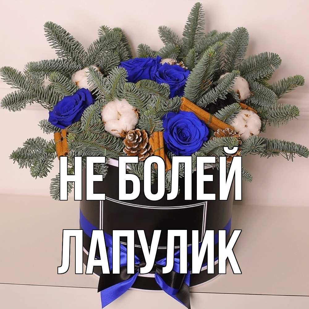 Открытка  с именем. Лапулик, Не болей  