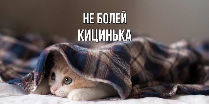 Картинка Не болей, Кицинька