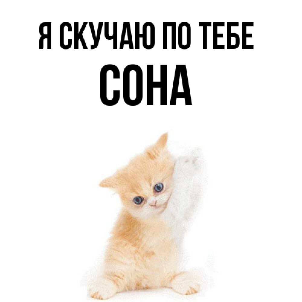 Открытка  с именем. Сона, Я скучаю по тебе  