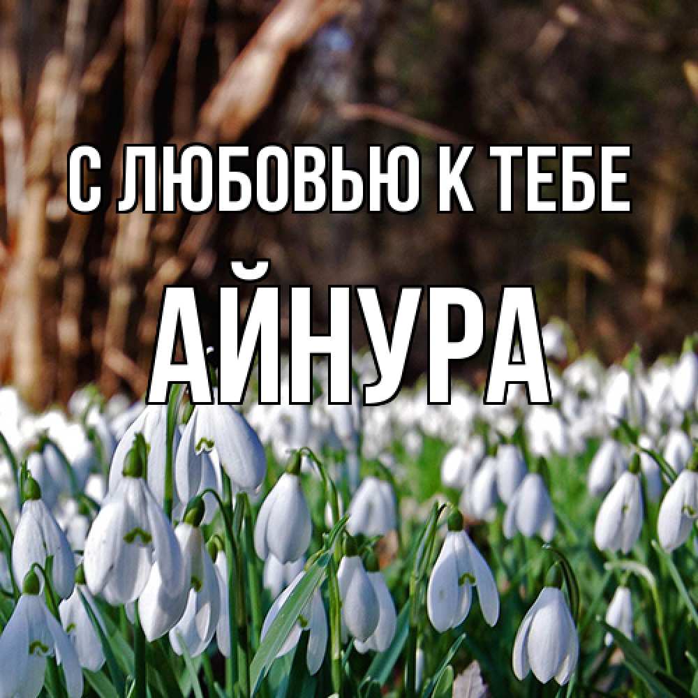 Открытка  с именем. Айнура, С любовью к тебе  