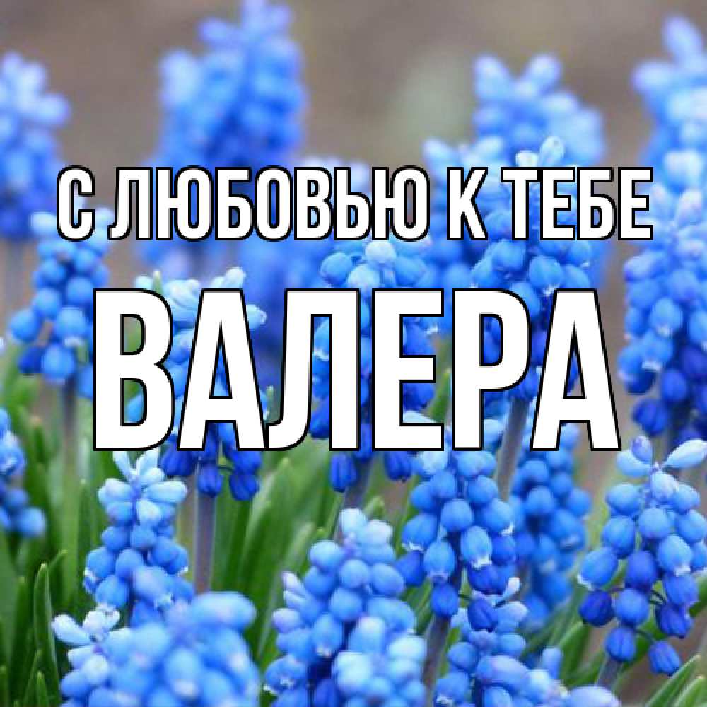 Открытка  с именем. Валера, С любовью к тебе  