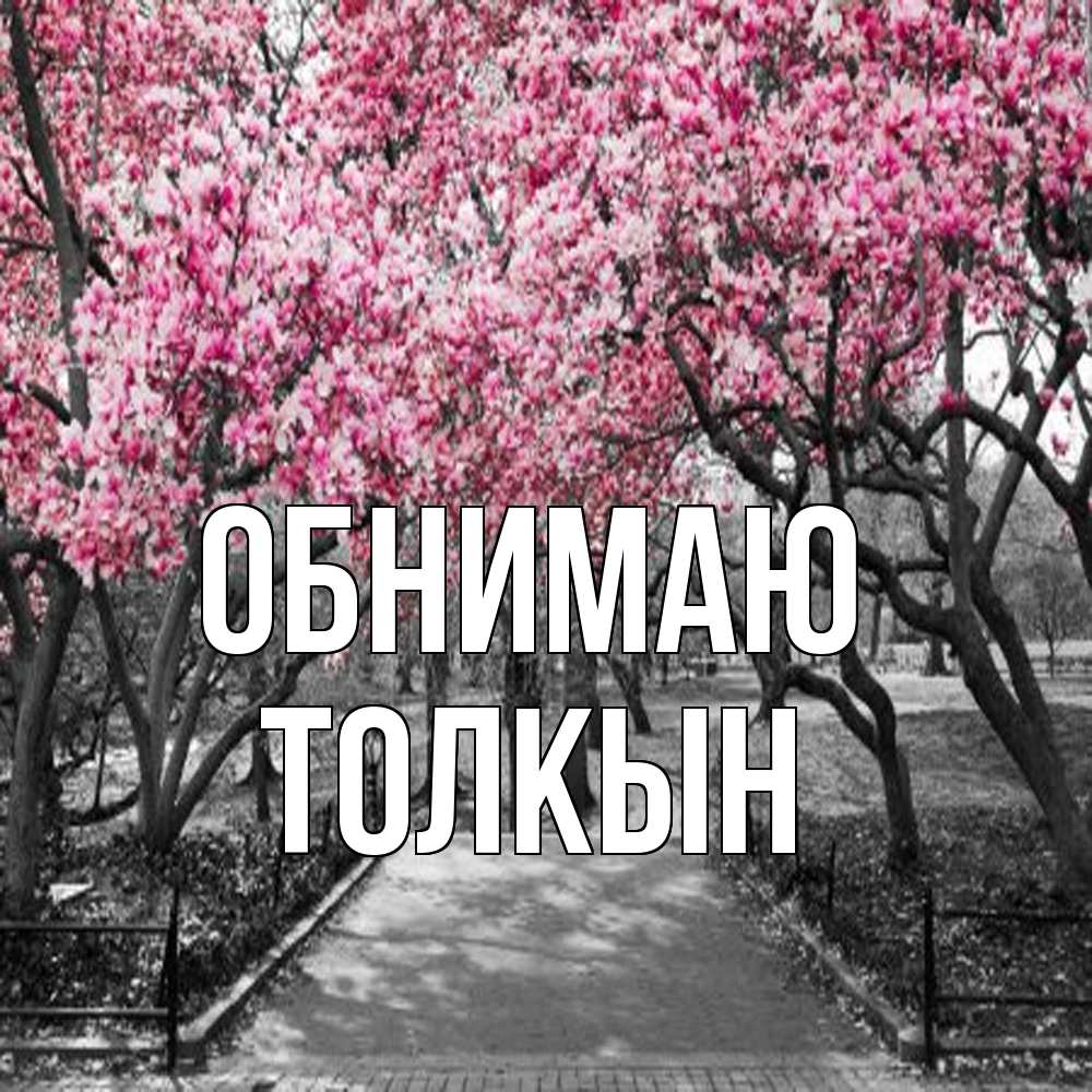 Открытка  с именем. Толкын, Обнимаю  