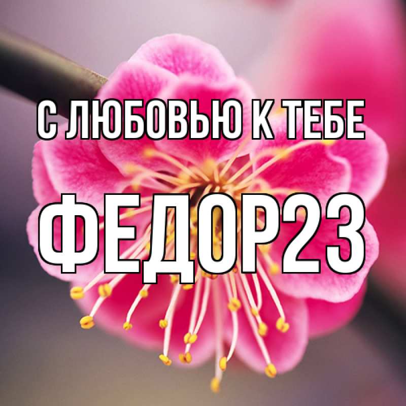 Картинка С любовью к тебе, Федор23