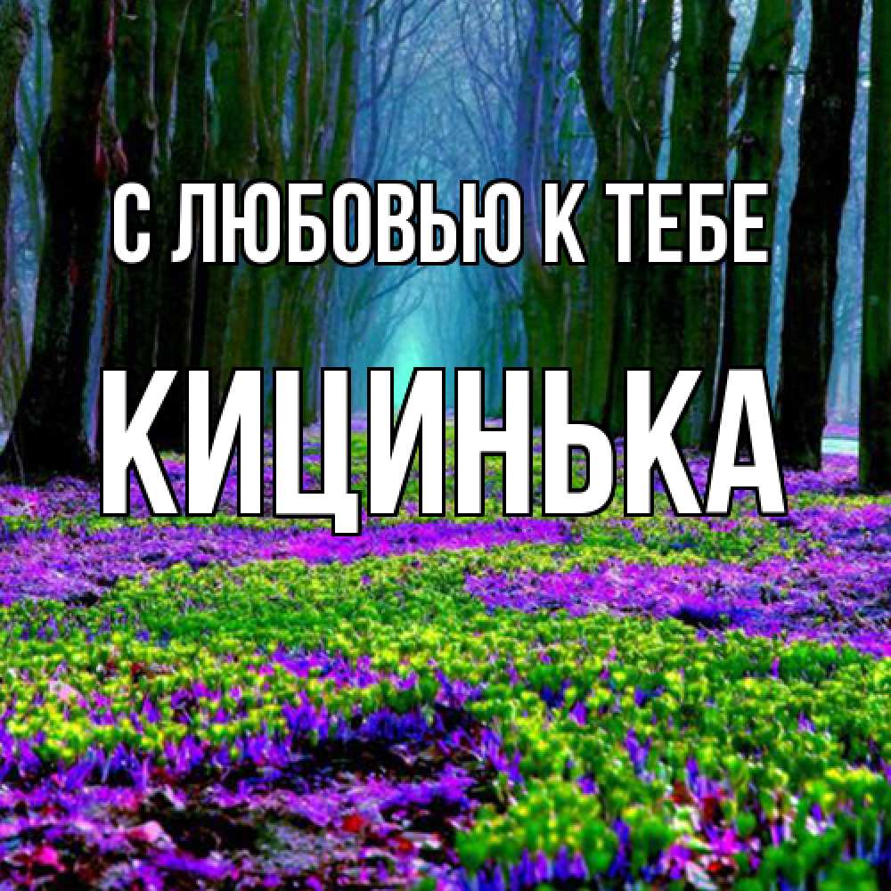 Открытка  с именем. Кицинька, С любовью к тебе  