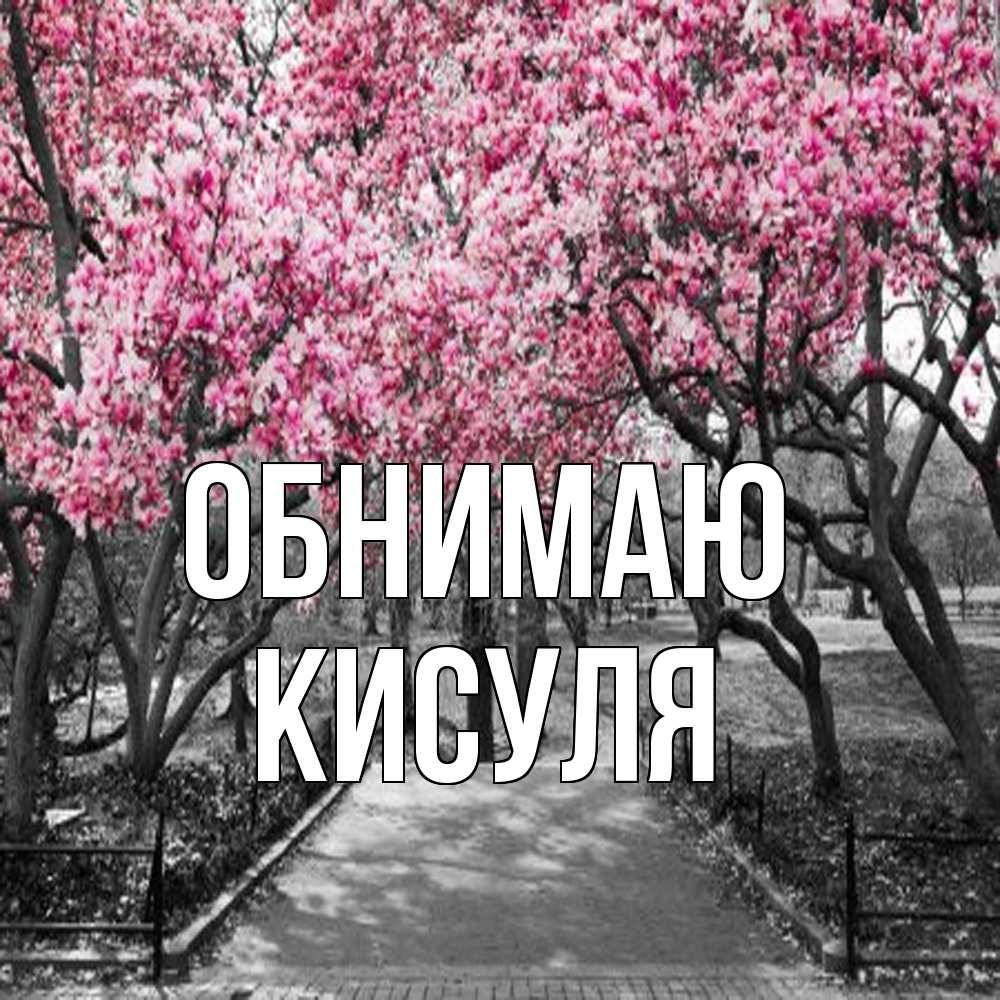 Открытка  с именем. Кисуля, Обнимаю  