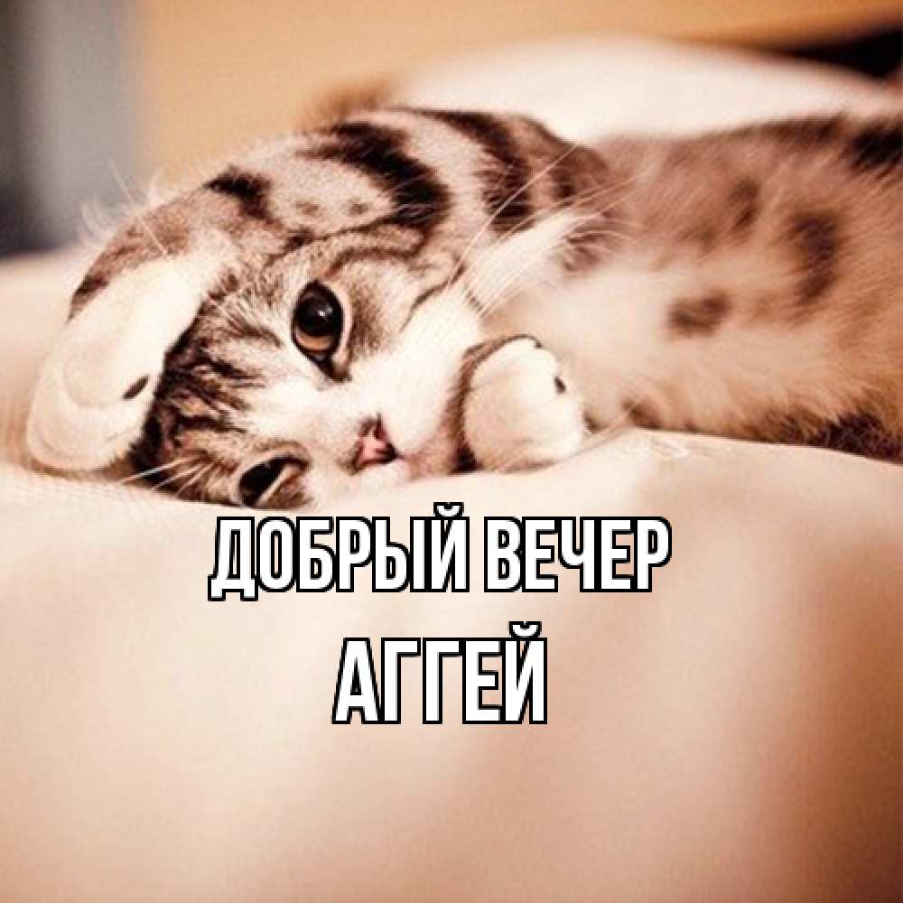 Открытка  с именем. Аггей, Добрый вечер  
