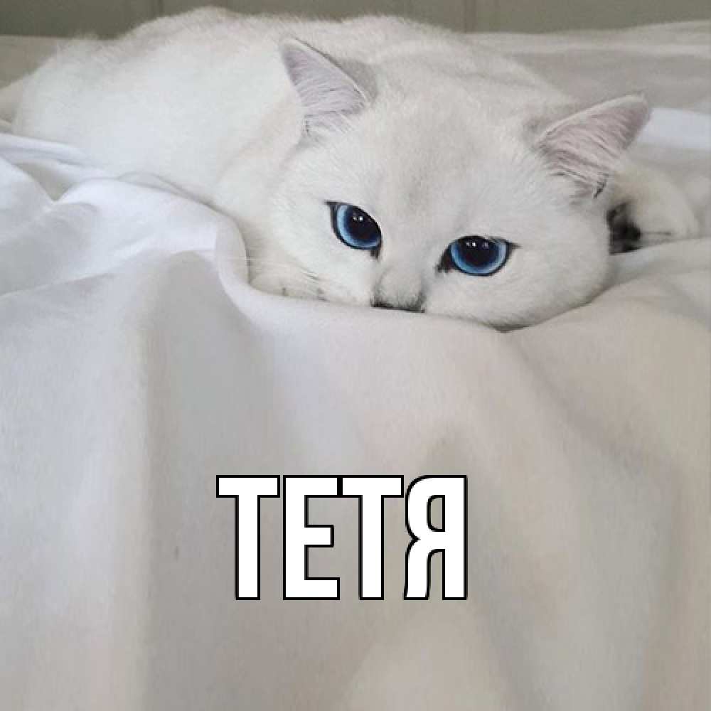 Открытка  с именем. Тетя, Главная  