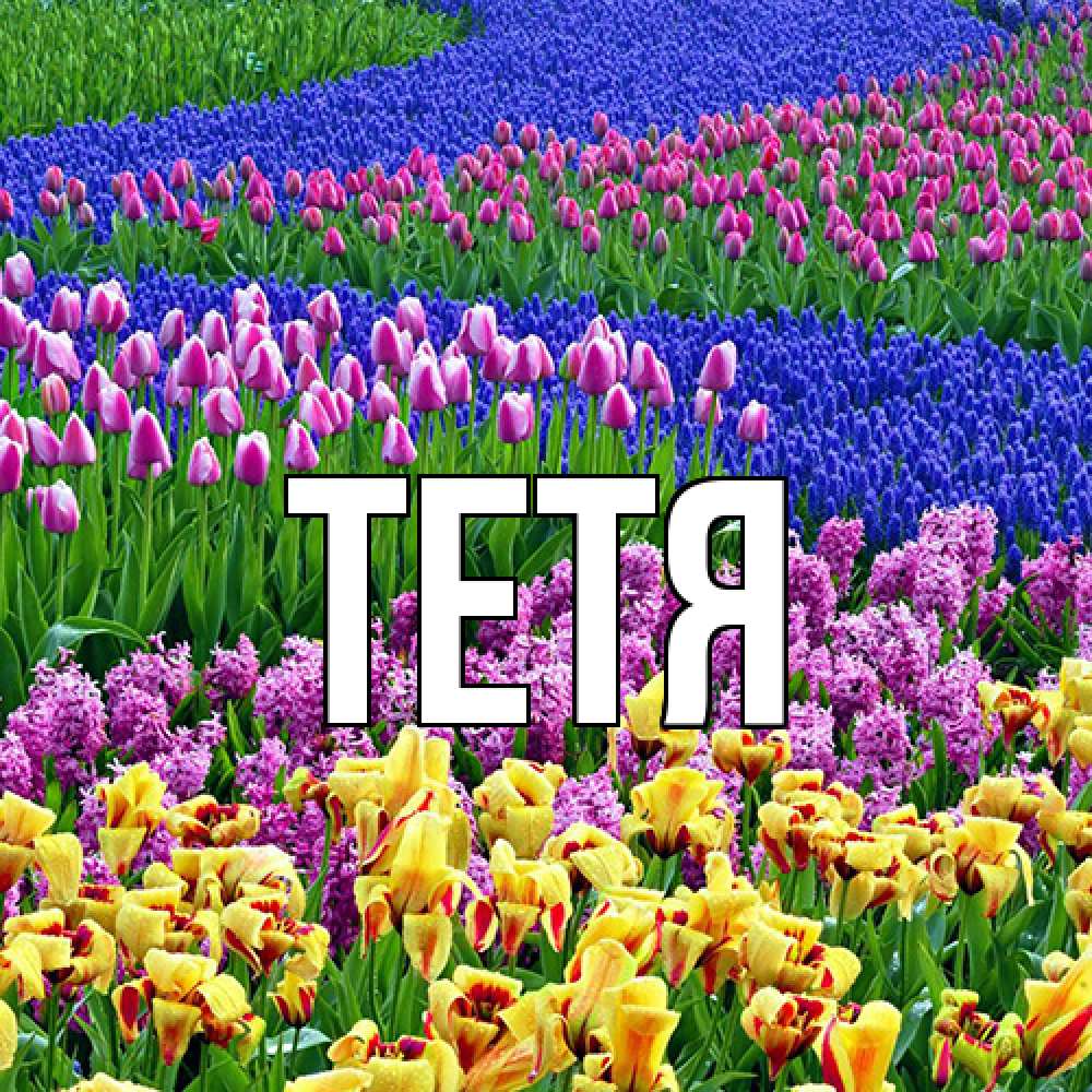 Открытка  с именем. Тетя, Главная  