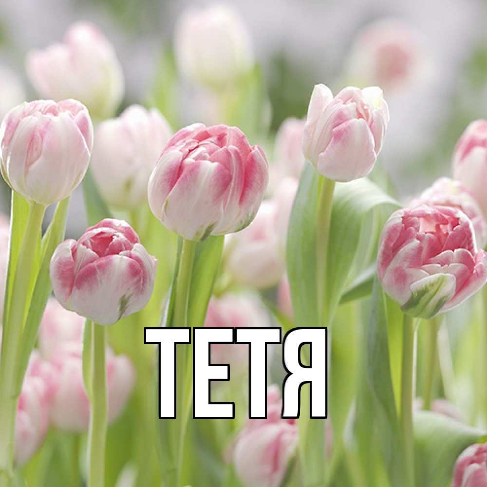 Открытка  с именем. Тетя, Главная  