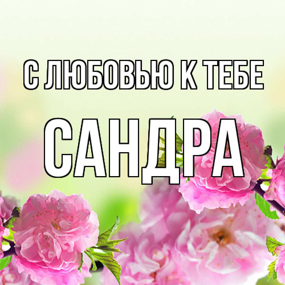 Открытка  с именем. Сандра, С любовью к тебе  