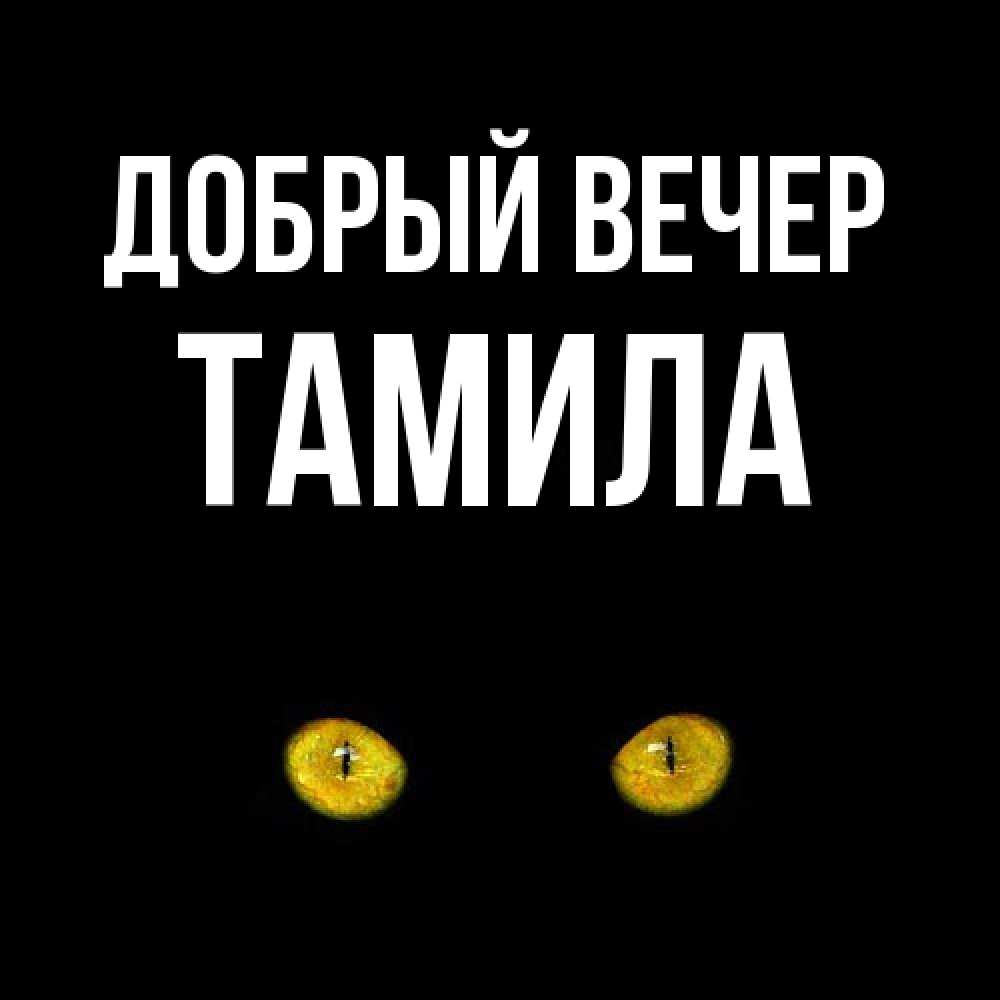 Открытка  с именем. Тамила, Добрый вечер  