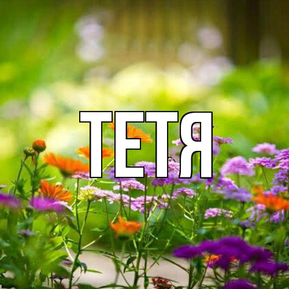 Открытка  с именем. Тетя, Главная  