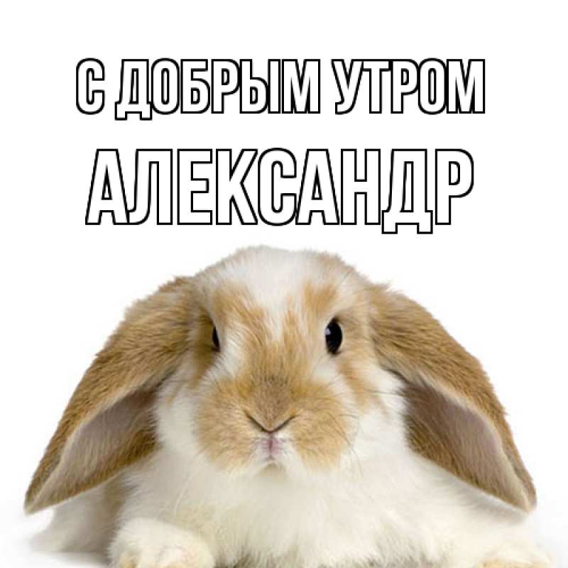 Картинка С добрым утром, александр