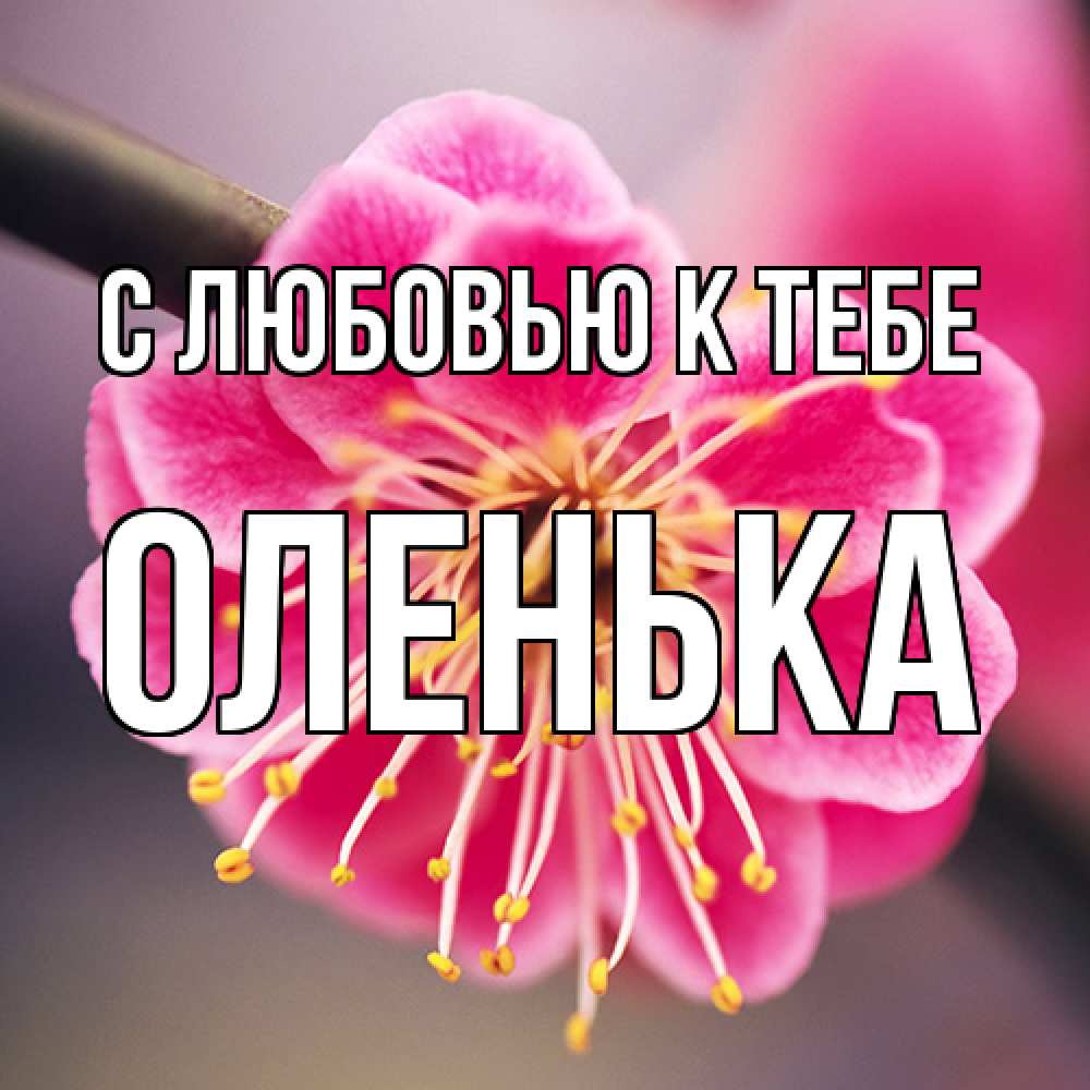 Открытка  с именем. Оленька, С любовью к тебе  