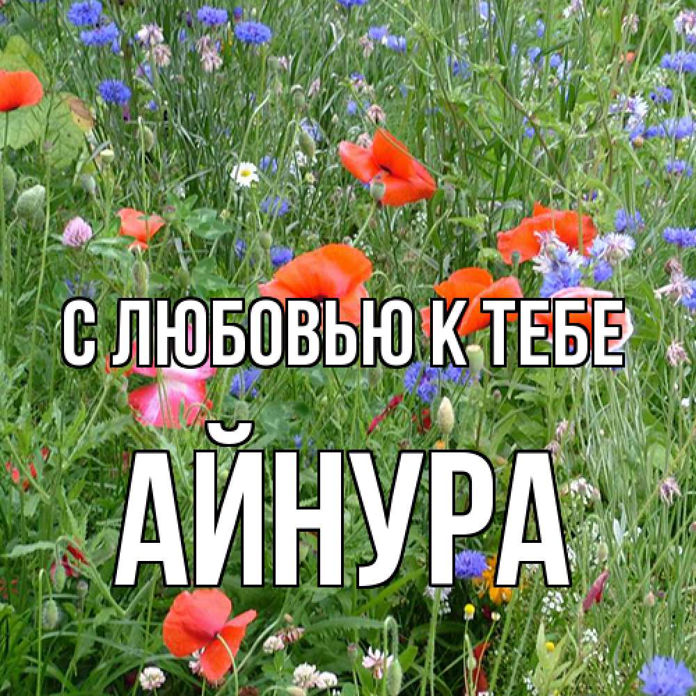 Открытка  с именем. Айнура, С любовью к тебе  