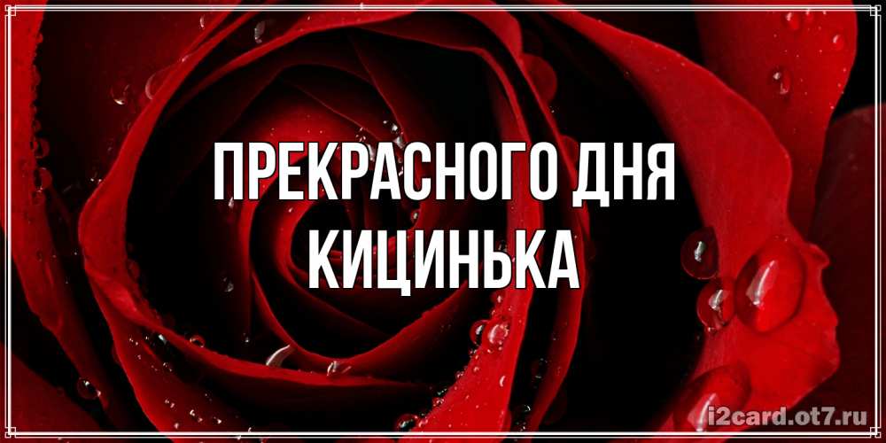 Открытка  с именем. Кицинька, Прекрасного дня  