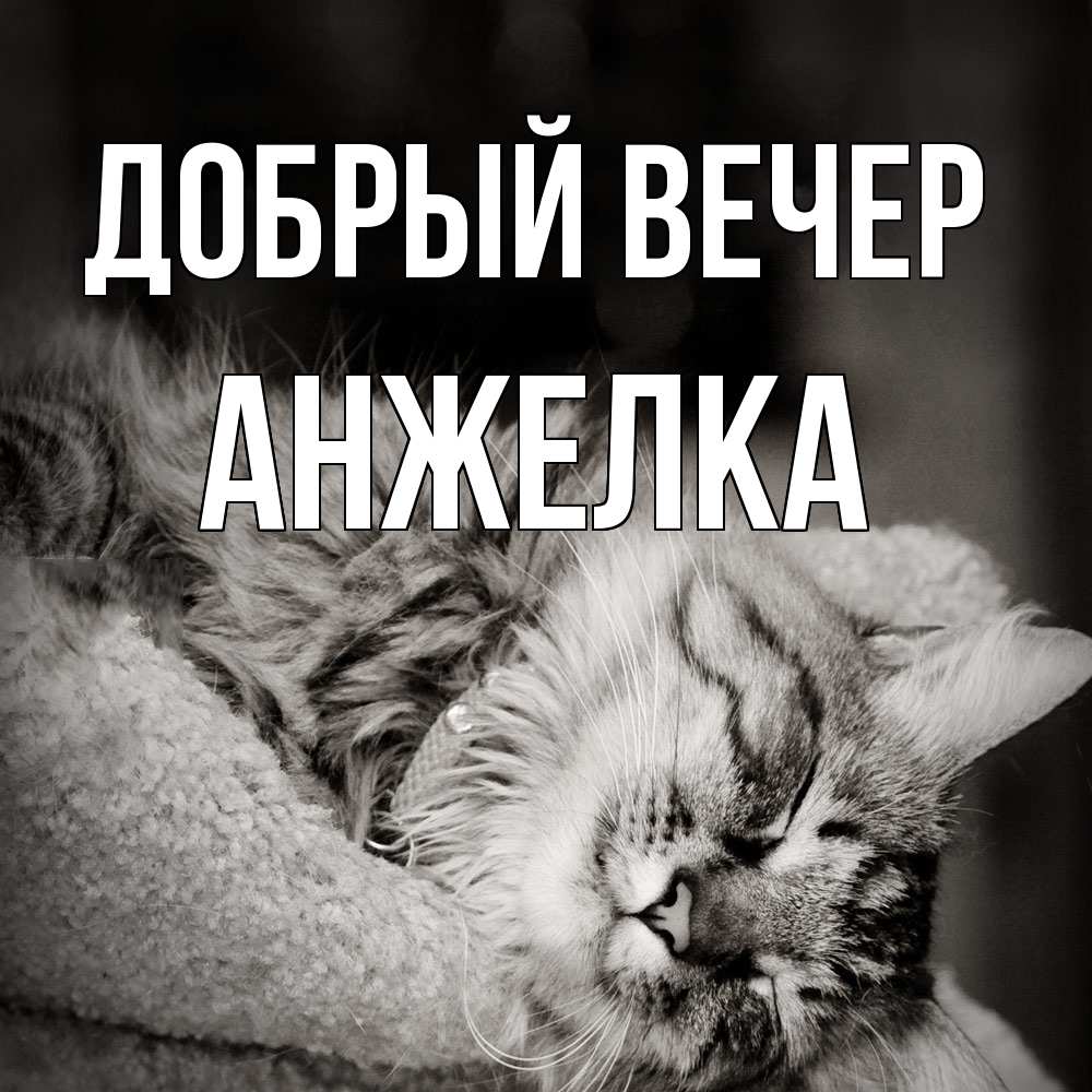 Открытка  с именем. Анжелка, Добрый вечер  