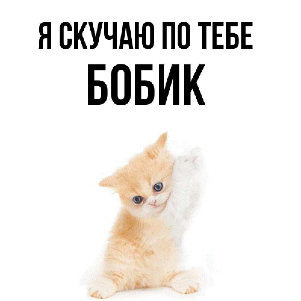 Открытка  с именем. Бобик, Я скучаю по тебе  