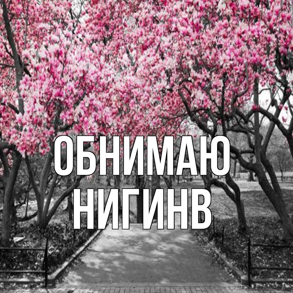 Открытка  с именем. Нигинв, Обнимаю  