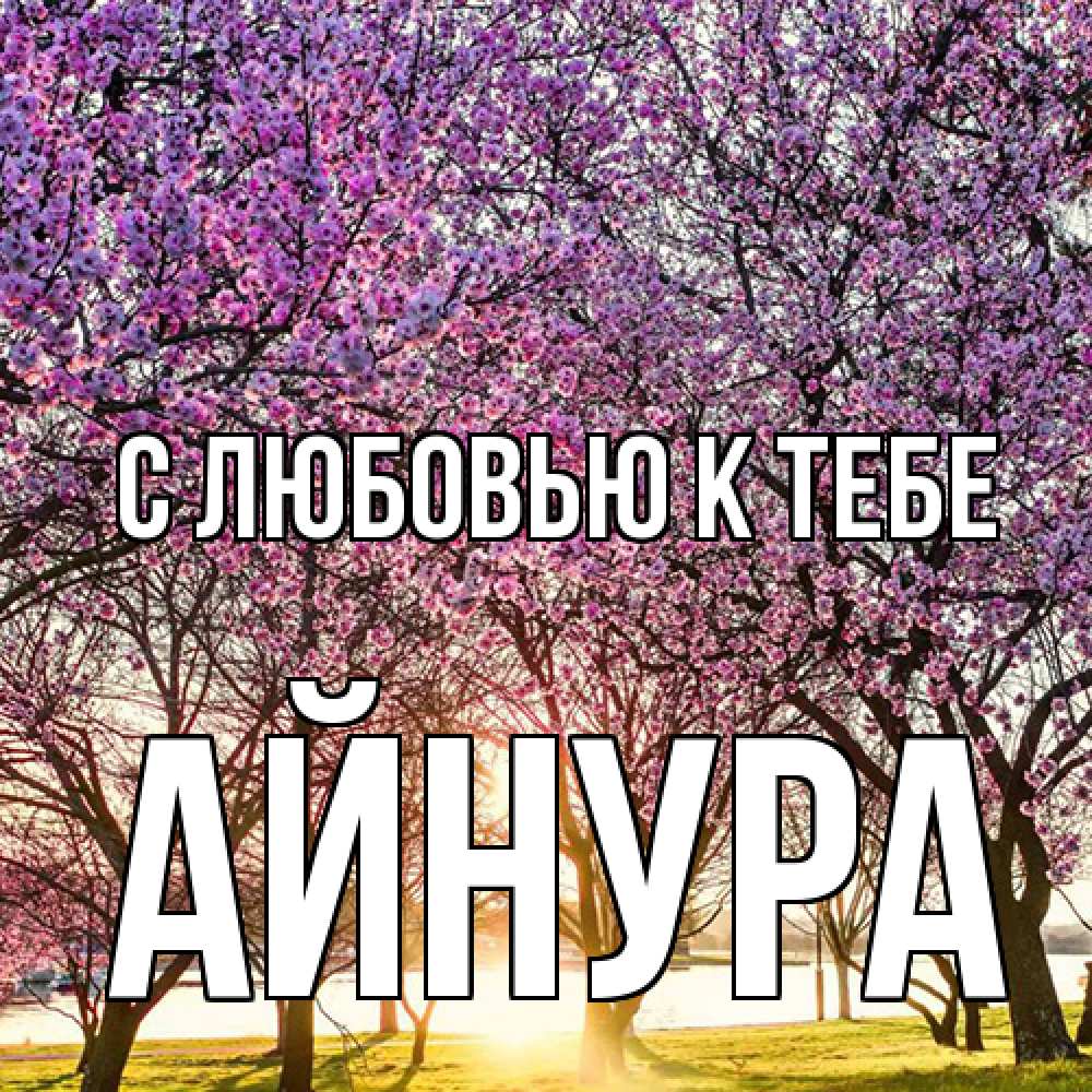 Открытка  с именем. Айнура, С любовью к тебе  