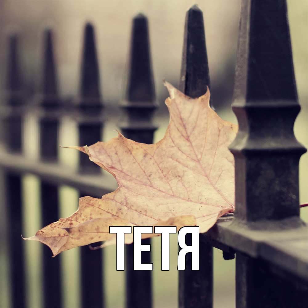 Открытка  с именем. Тетя, Главная  