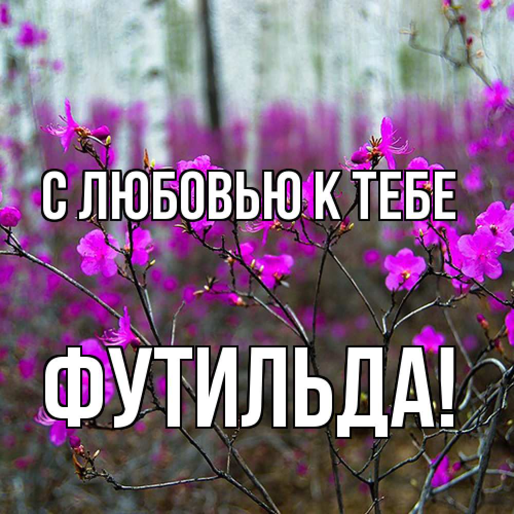 Открытка  с именем. Футильда, С любовью к тебе  