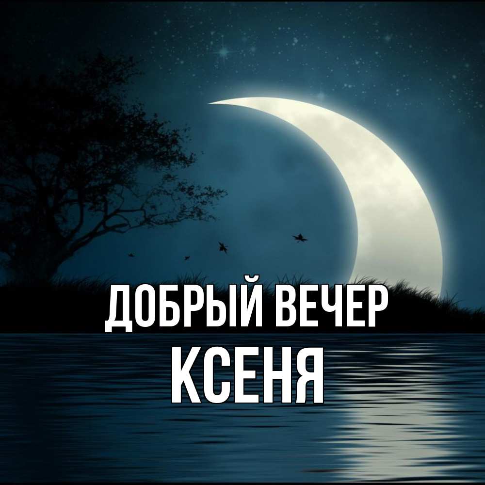 Открытка  с именем. Ксеня, Добрый вечер  